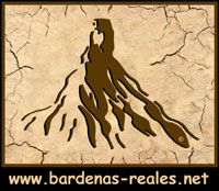 Logo website www.bardenas-reales.net